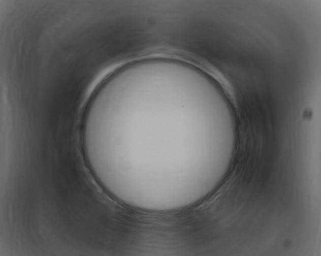 X0000096641368200802050947