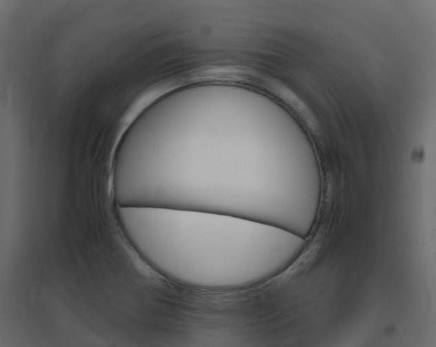 X0000096641370200802050947
