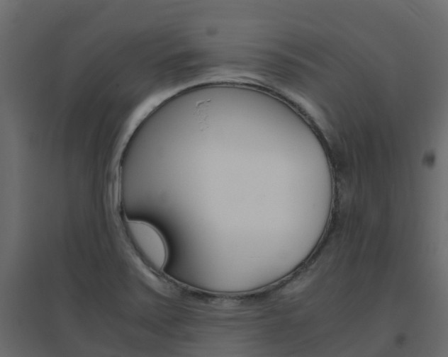 X0000096641371200802050947