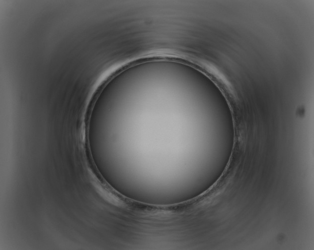 X0000096641372200802050947