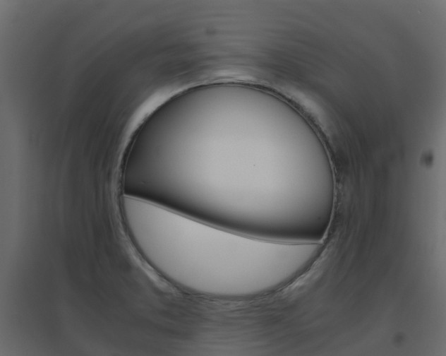 X0000096641373200802050947