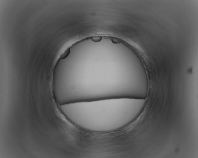 X0000096641374200802050947