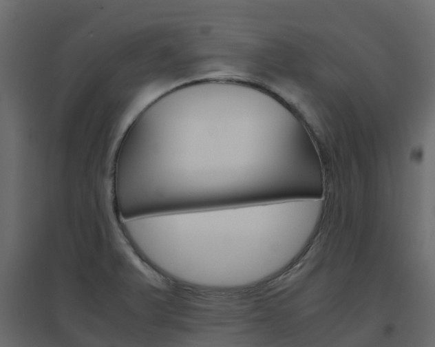 X0000096641375200802050947