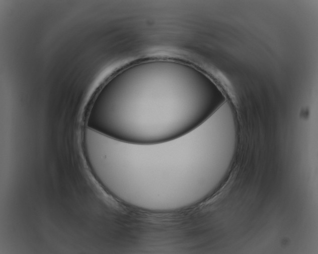 X0000096641376200802050947
