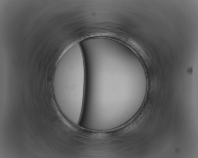X0000096641377200802050947