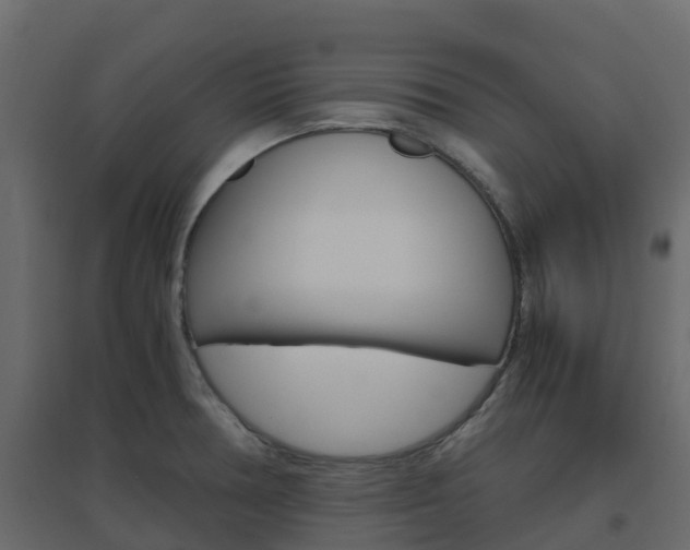 X0000096641378200802050947