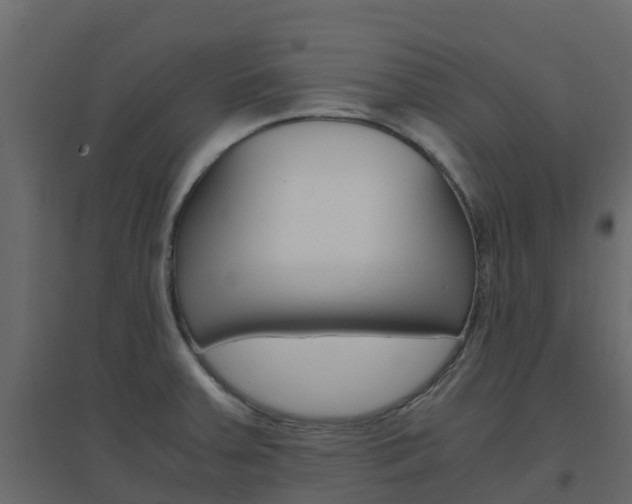 X0000096641379200802050947