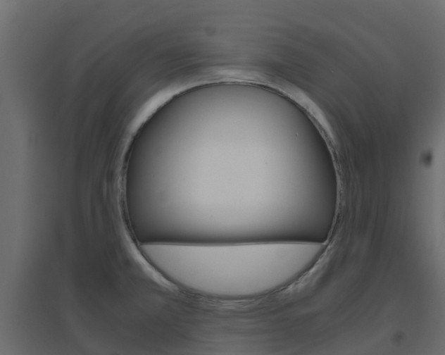X0000096641381200802050947