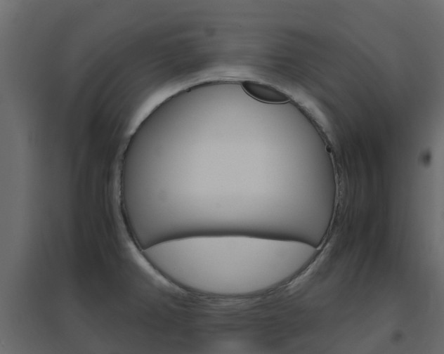 X0000096641382200802050947
