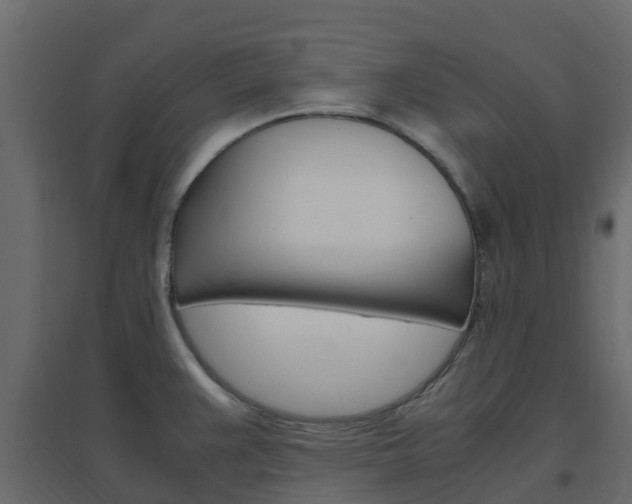 X0000096641383200802050947