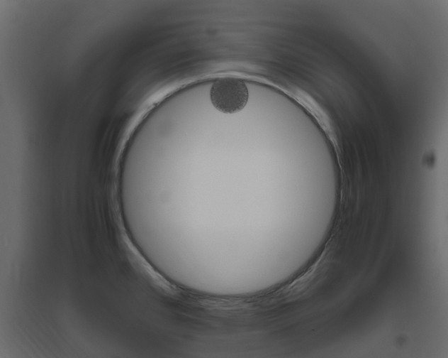 X0000096641384200802050947
