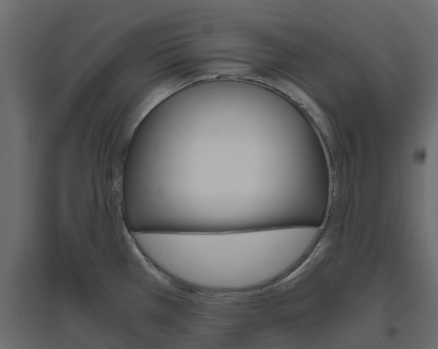 X0000096641385200802050947