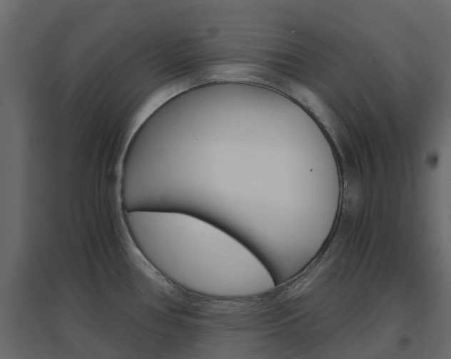 X0000096641386200802050947