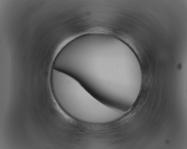 X0000096641387200802050947