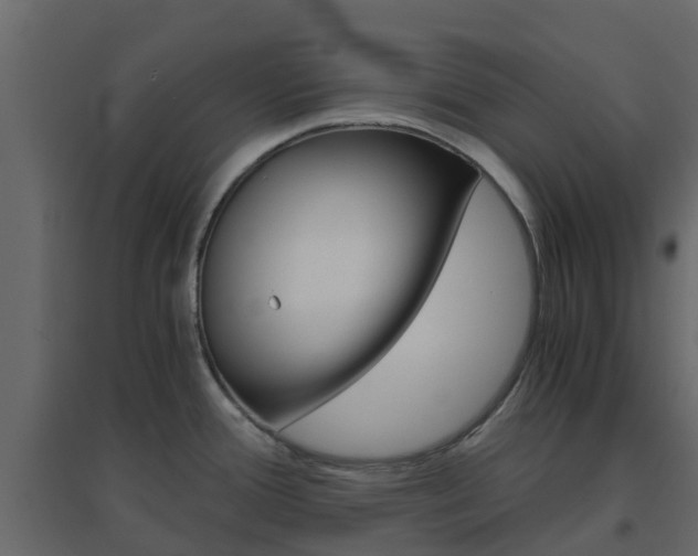 X0000096641388200802050947