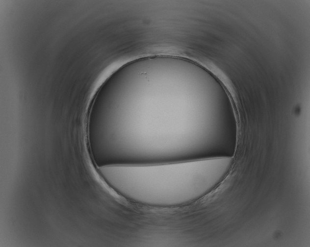 X0000096641389200802050947