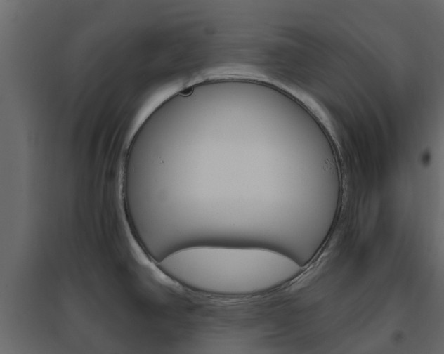 X0000096641390200802050947