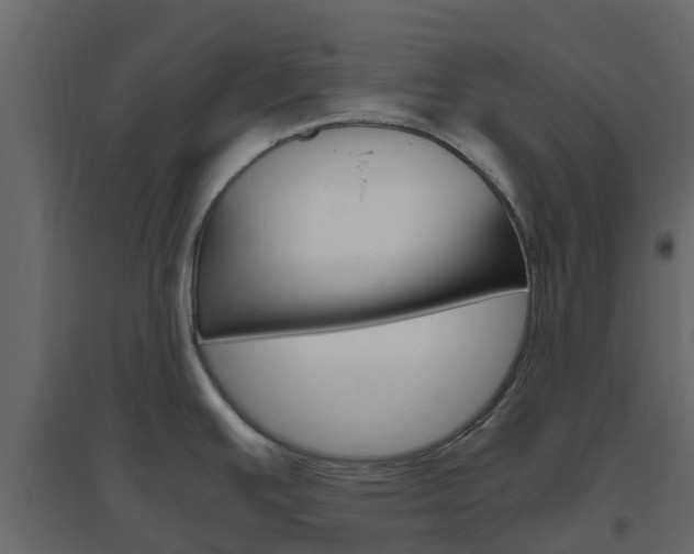 X0000096641391200802050947