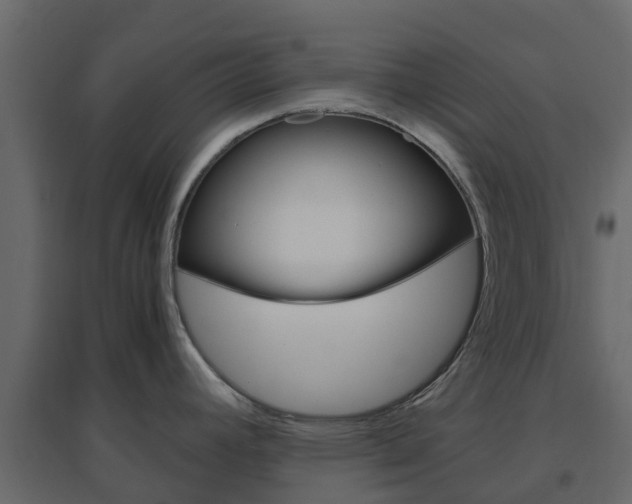 X0000096641392200802050947