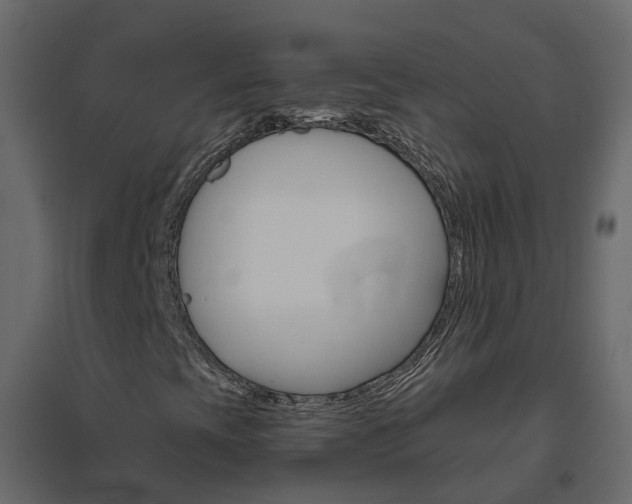 X0000096641393200802050946