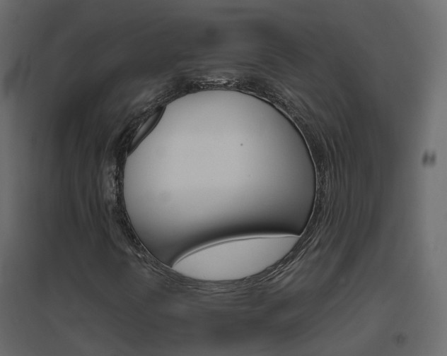 X0000096641394200802050946