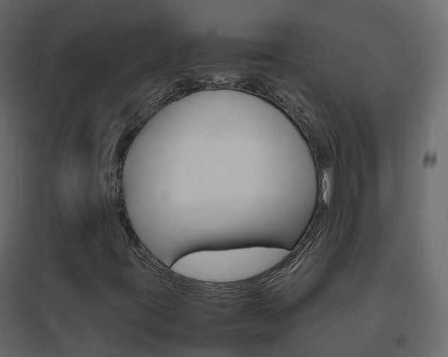 X0000096641395200802050946
