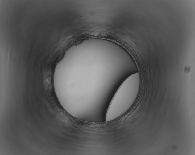 X0000096641396200802050946