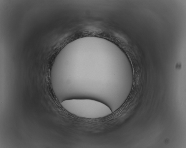 X0000096641397200802050946
