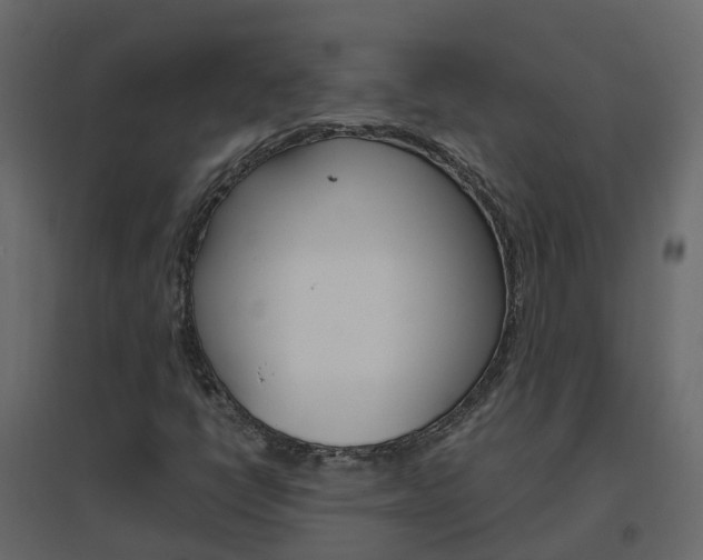 X0000096641398200802050946