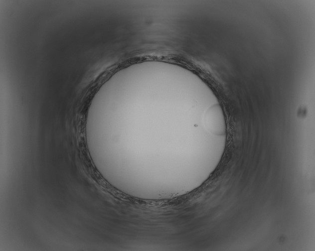 X0000096641399200802050946
