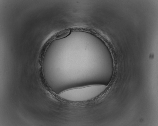 X0000096641400200802050946