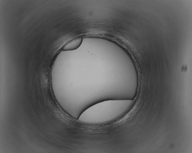 X0000096641401200802050946