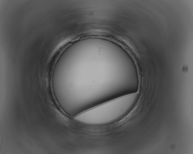 X0000096641402200802050946