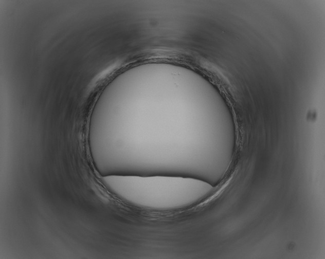 X0000096641403200802050946