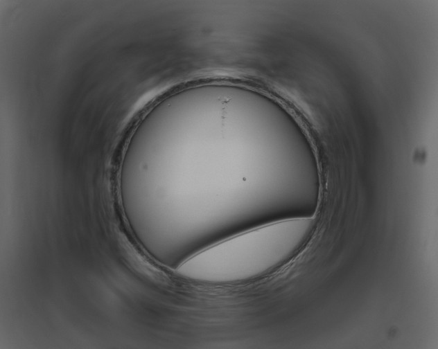 X0000096641404200802050946
