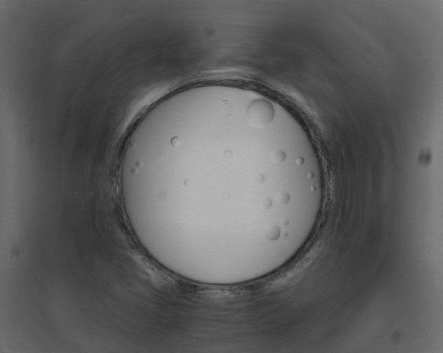 X0000096641405200802050946