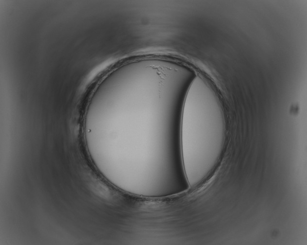 X0000096641406200802050946
