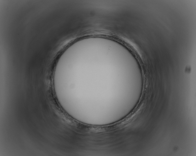 X0000096641407200802050946