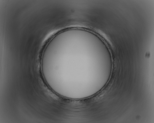 X0000096641408200802050946