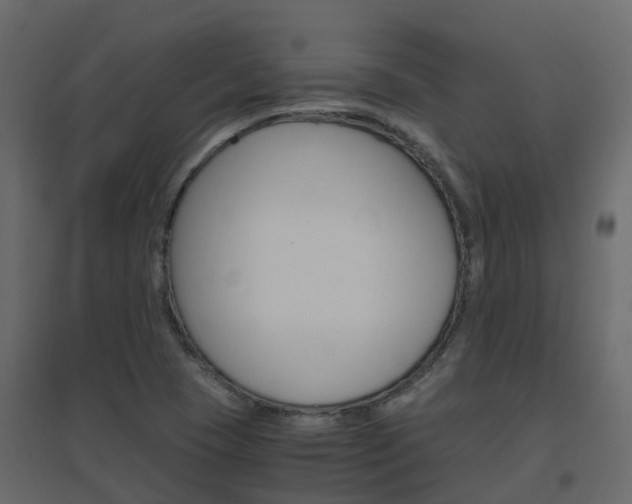 X0000096641409200802050946