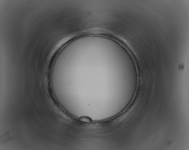 X0000096641410200802050946
