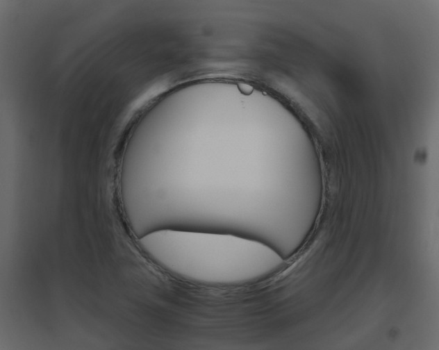 X0000096641411200802050946