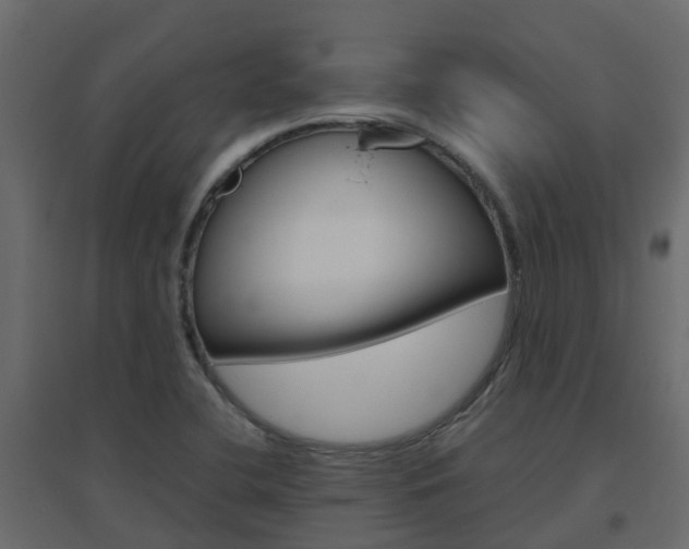 X0000096641412200802050946