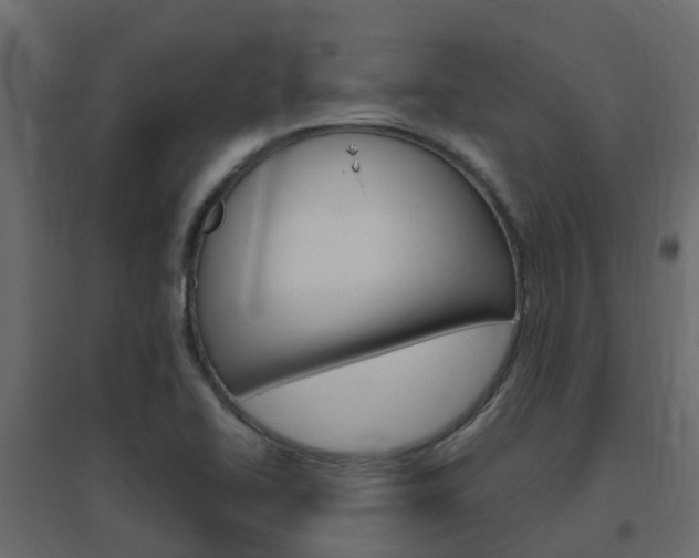 X0000096641414200802050947