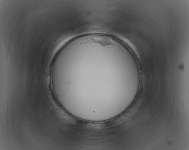 X0000096641415200802050947