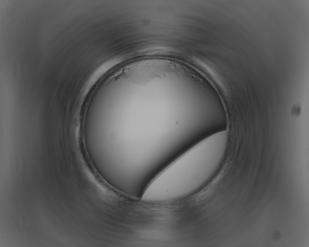 X0000096641418200802050947