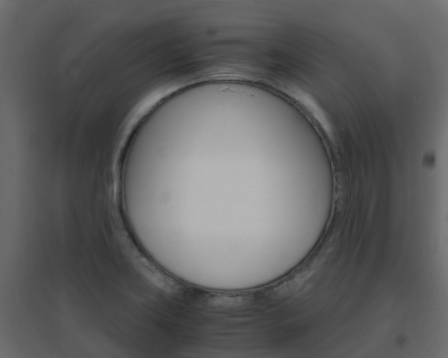 X0000096641419200802050947