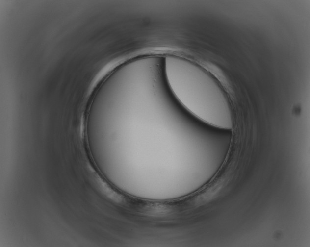 X0000096641420200802050947