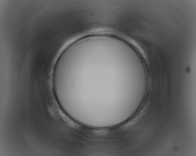 X0000096641421200802050947
