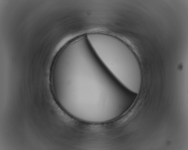 X0000096641422200802050947